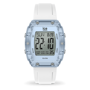 ICE digit boliday-024567