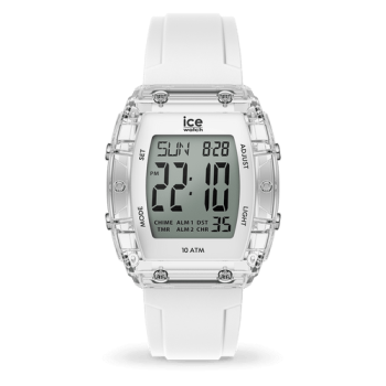ICE digit boliday-024565
